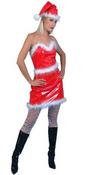 View Item Adult Ladies 12-14 PVC Sexy Miss Santa Christmas Fancy Dress Costume (STD)